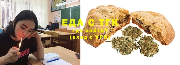 хмурый Алзамай