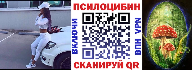 купить наркотик Сунжа Псилоцибиновые грибы мицелий